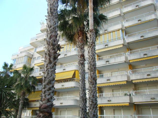 Apartamentos Marblau Varios 1, 2 Y 3 Dormitorios - Julio Y Agosto Solo Familias Playa de Gandia Exterior photo